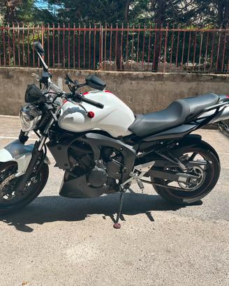 yamaha 600 zf6