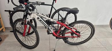 bici liotto