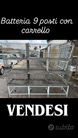 Batteria di gabbie da 9