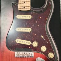 Battipenna Fender Wired Texas Special tortoise 