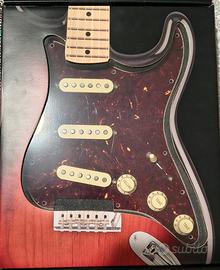 Battipenna Fender Wired Texas Special tortoise 