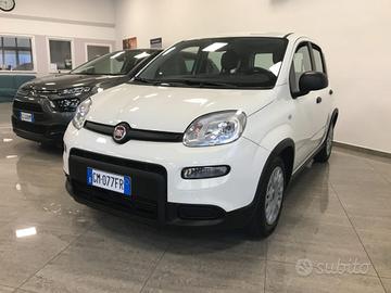 FIAT Panda 1.0 FireFly S&S Hybrid PREZZO REALE