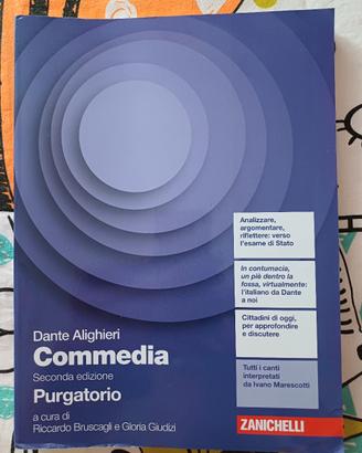 Divina commedia purgatorio