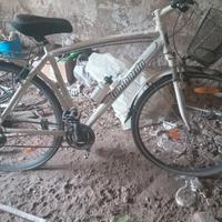 bicicletta