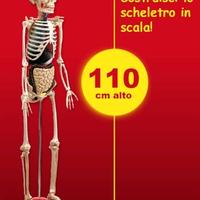 Corpo umano collezione completa