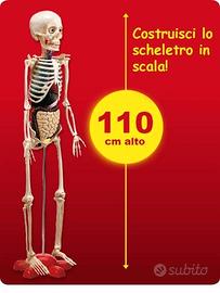 Corpo umano collezione completa