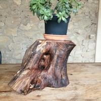 ceppo in legno d'ulivo 