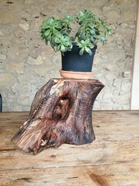 ceppo in legno d'ulivo 