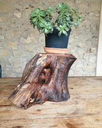 ceppo in legno d'ulivo 