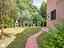 Immagine 28