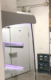 Frigo