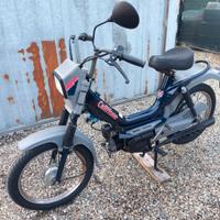 N.2 califfoni(leggi)