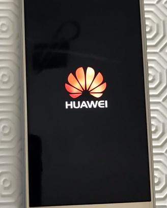 Huawei P8 light