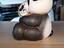 Immagine 2
