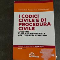 Codice civile e procedura civile