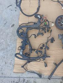 BMW 316d-318d cablaggio completo 