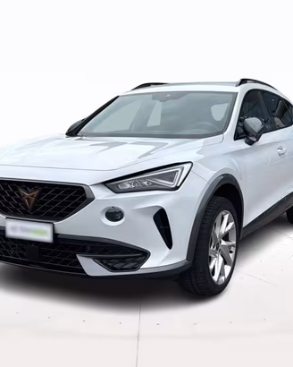 CUPRA Formentor 2.0 tdi 4drive 150cv dsg