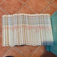 Raccolta di Esplorando il corpo umano .