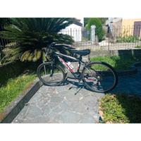 Bici da ragazzino