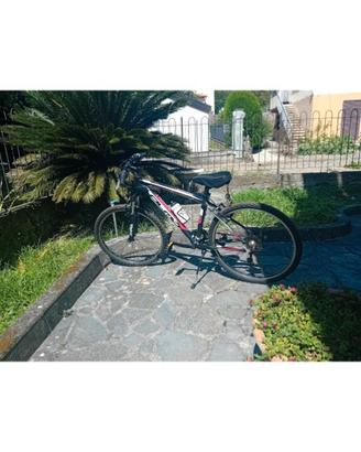 Bici da ragazzino