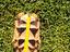 Immagine 2
