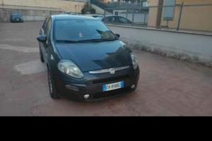 punto evo