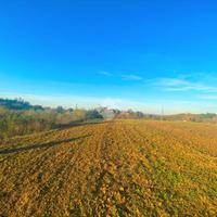 TER. AGRICOLO A ORIOLO ROMANO