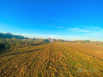 TER. AGRICOLO A ORIOLO ROMANO
