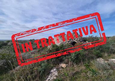 TER. AGRICOLO A MANDURIA