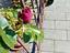 Immagine 2