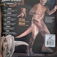 Costumi di Carnevale per Bambino varie taglie