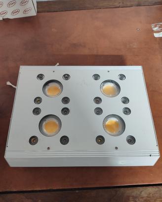 lampada led coltivazione