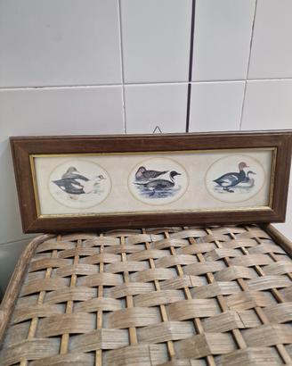 Quadro vintage con stampe naturalistiche – Anatre