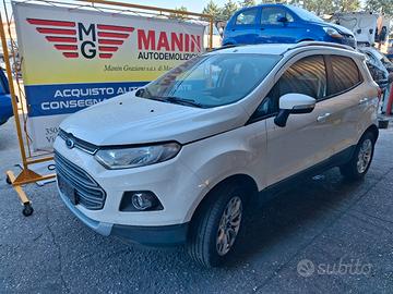 Ricambi Ford Ecosport 2015