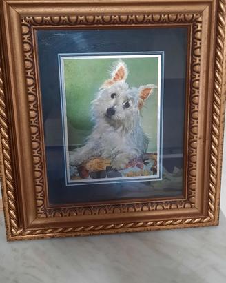 quadro dipinto cane maltese nuovissimo 