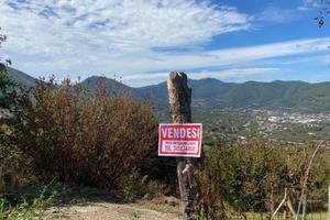 Terreno agricolo