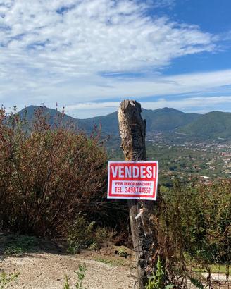 Terreno agricolo