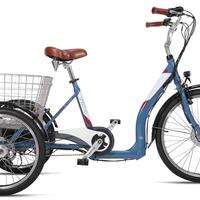 Triciclo elettrico - trike Armony Lingotto ebike