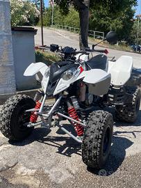 Quad polaris Predator 500