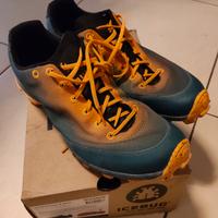 Scarpe Icebug
