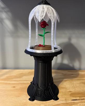 Rosa Incantata La Bella e la Bestia