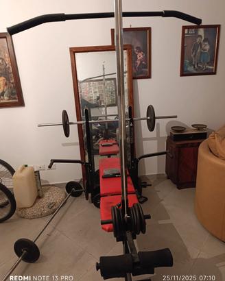 palestra