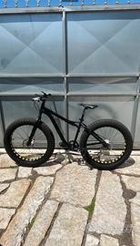 Fat Bike