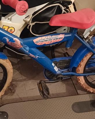 Bicicletta