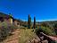Immagine 21