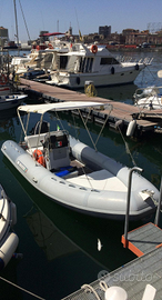 Master 540 mercury 40 EFI carrello ellebi