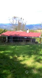 PETRELLA TIFERNINA immobile con terreno e bosco