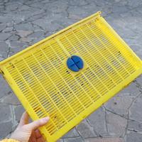 5 telaini per blocco covata 