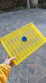 5 telaini per blocco covata 