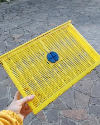 5 telaini per blocco covata 